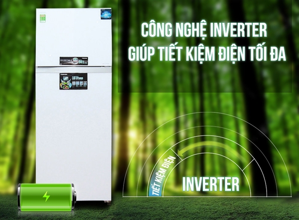 254 tu lanh 2 canh toshiba t41vubzds1 359l