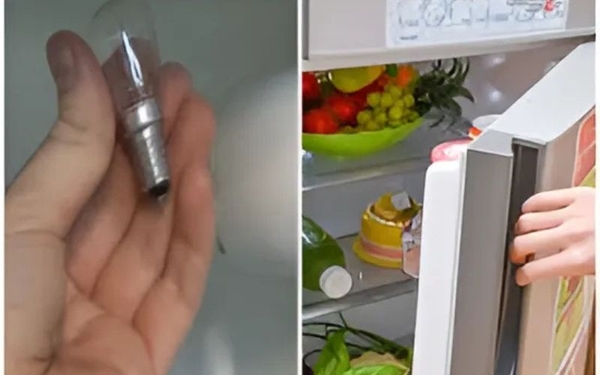 tu lanh van chay nhung den khong sang hinh1 1728905176